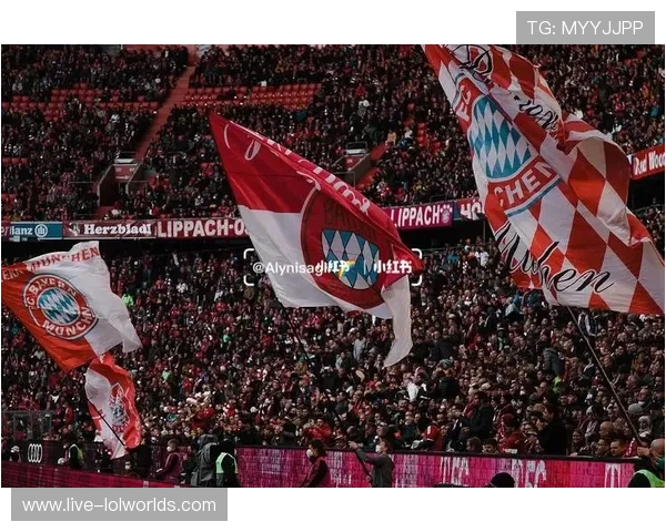 安联球场球迷助威，气氛热烈