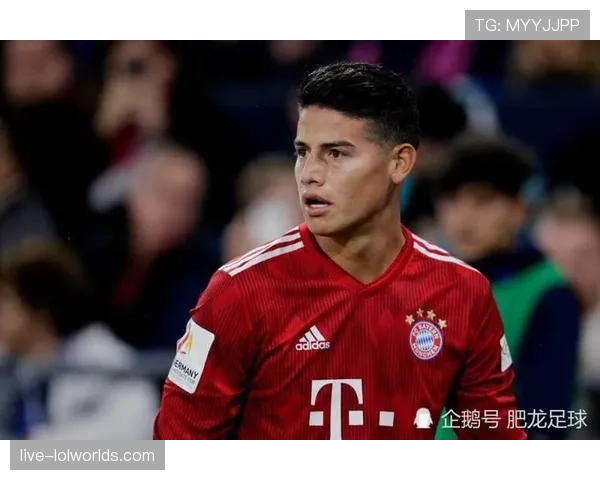 柏林赫塔主场翻新计划公布，将安装更先进的战术分析摄像头系统